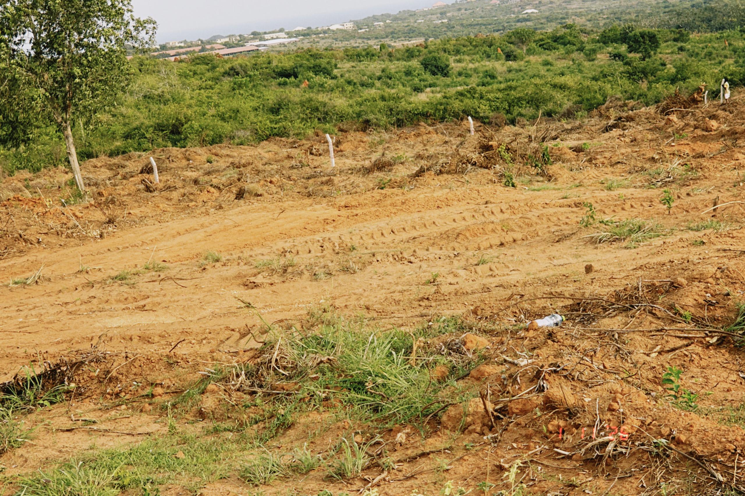 Land in Awutusenia 4