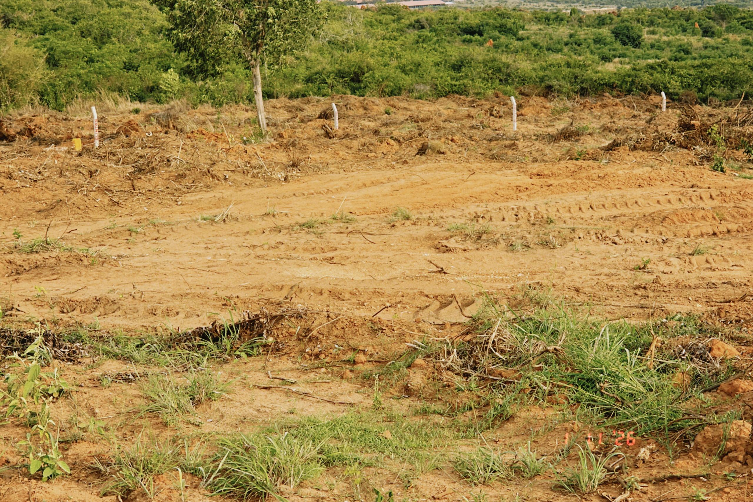 Land in Awutusenia 2